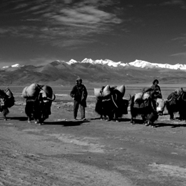 In the Shadow of Everest: Photographs by Tom Wool