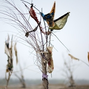 Living Shrines of Uyghur China: Photographs by Lisa Ross