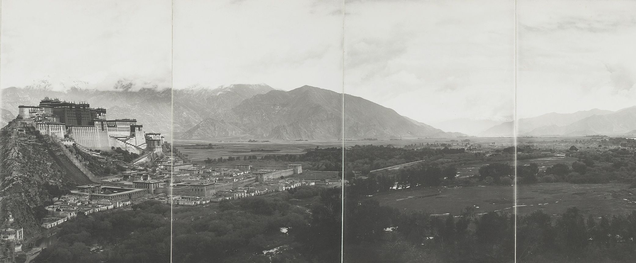 64-bl-white-lhasa-panorama master