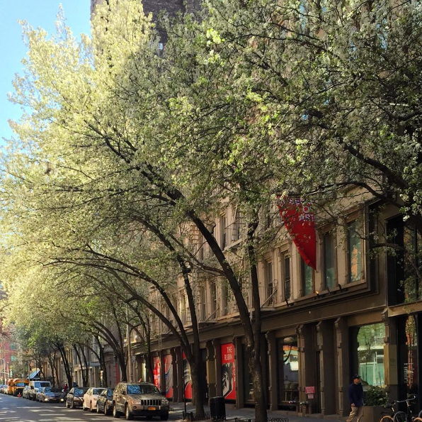 10 Instagram Posts that Perfectly Captured Springtime at the Rubin