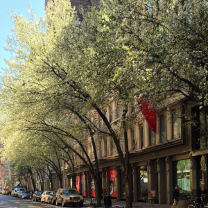 10 Instagram Posts that Perfectly Captured Springtime at the Rubin