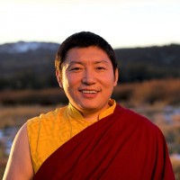 Kyabgön Phakchok Rinpoche