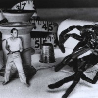 The Incredible Shrinking Man