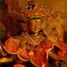 Tibetan Buddhist Shrine Room video